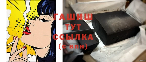 стаф Богданович