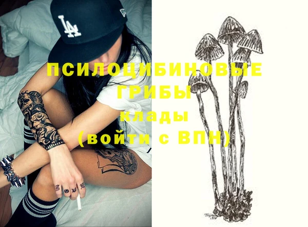 стаф Богданович