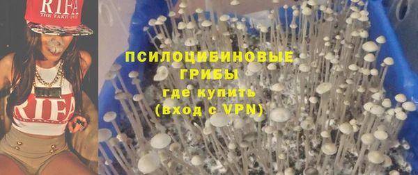 гидра Белоозёрский