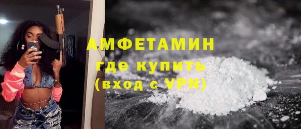 стаф Богданович