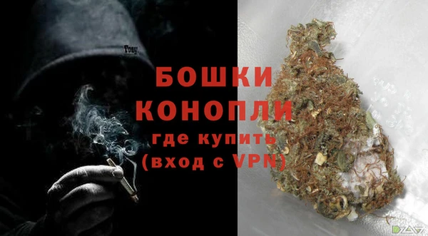 гидра Белоозёрский